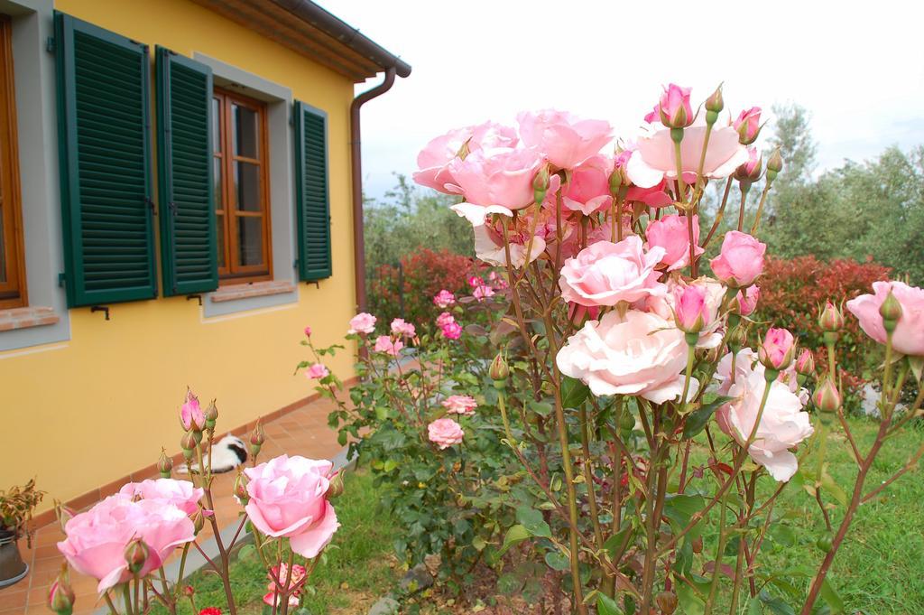 Il Podere Di Giustina Βίλα Montecarlo Εξωτερικό φωτογραφία